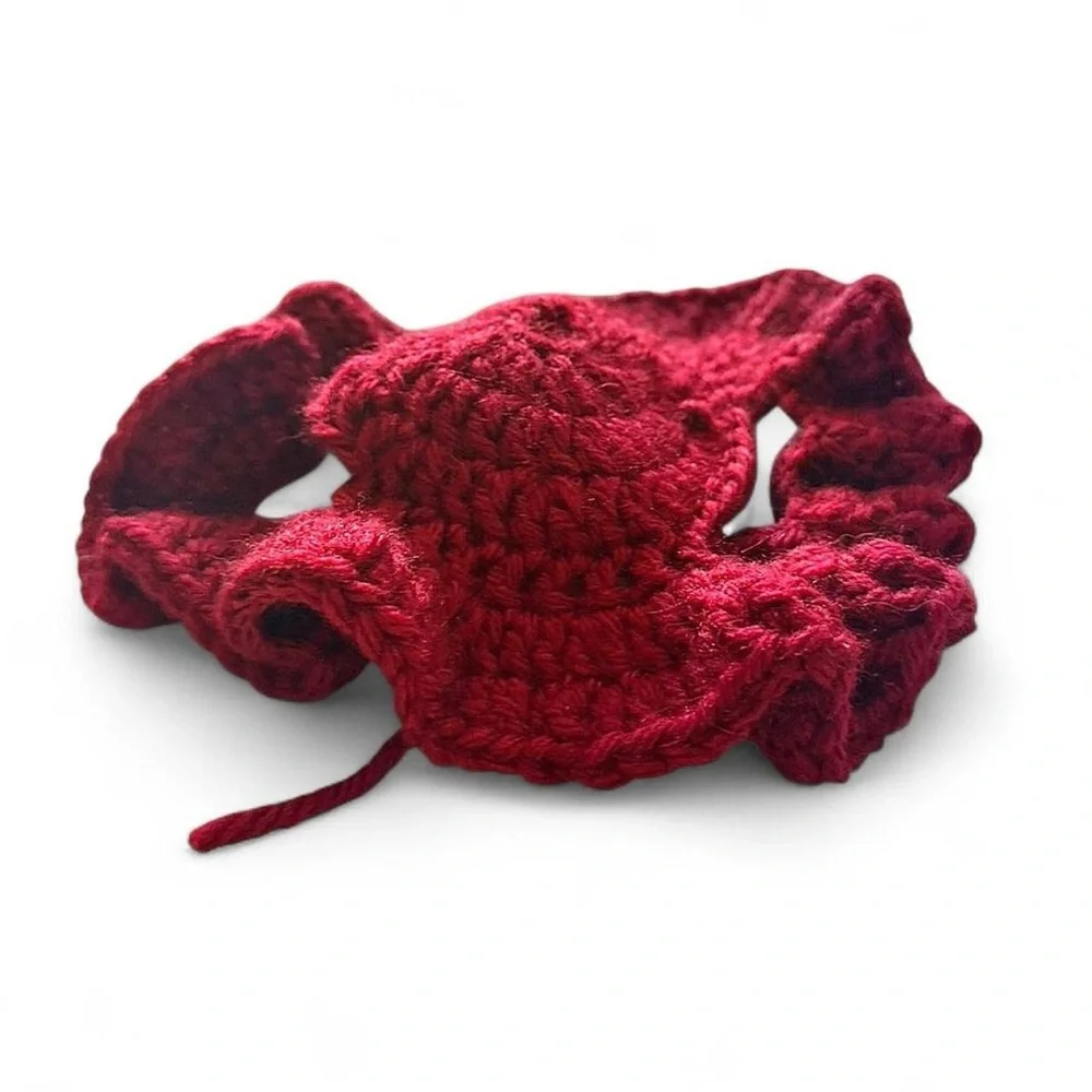 Red Cat Hat